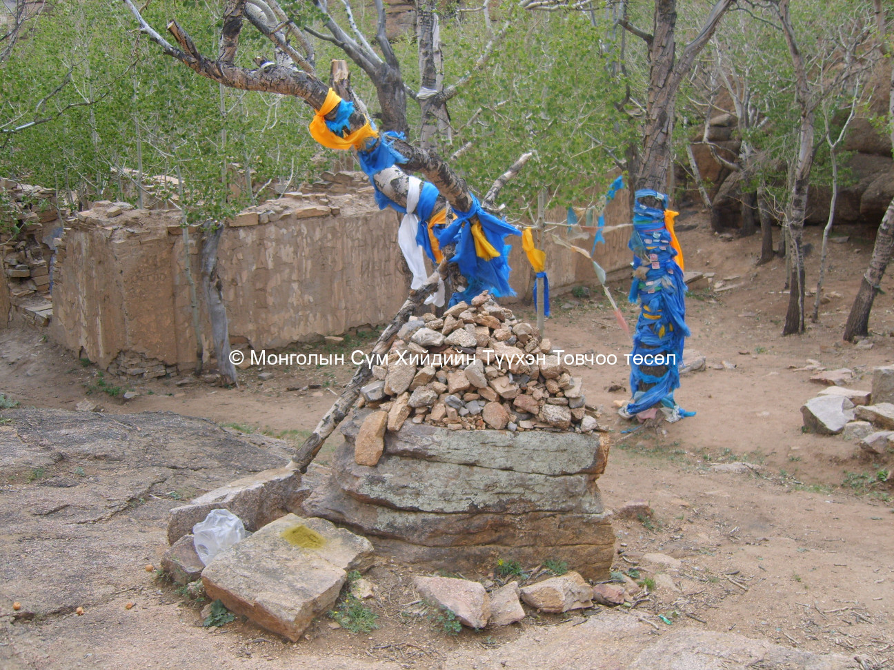 Хийдийн Хойд талаас авсан /хадагтай хайлаас мод ов